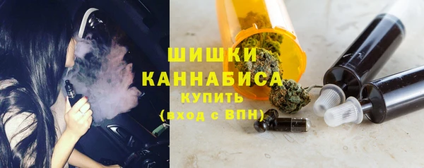 индика Белокуриха