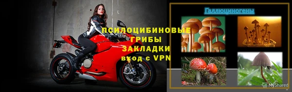 прущие крисы Балахна