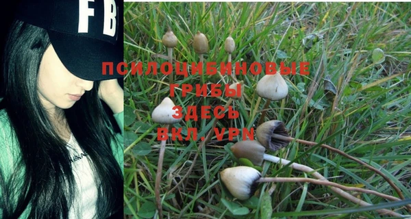 метадон Белоозёрский