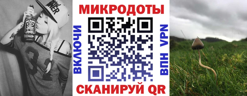 Купить закладки  Макаров  Псилоцибиновые грибы Psilocybine cubensis 